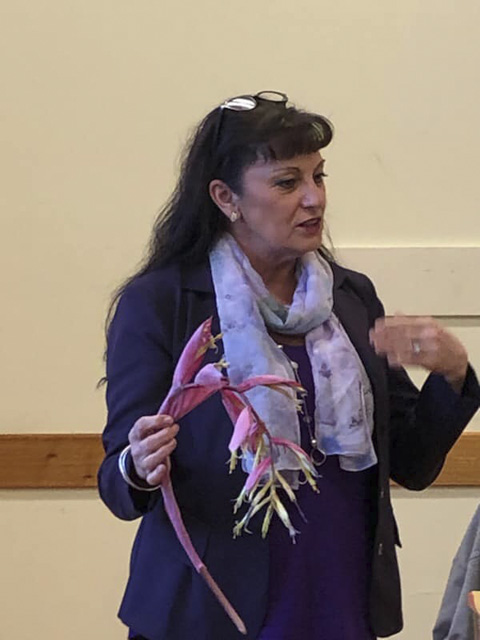 132039327_319207499850004_3973874577585474316_n